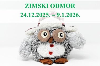 Zimski odmor učenika